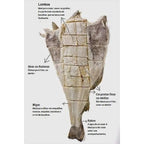 Bacalhau Inteiro Gadus Mohua Extra  Calibre 6/8 – (Peso medio 7kg)