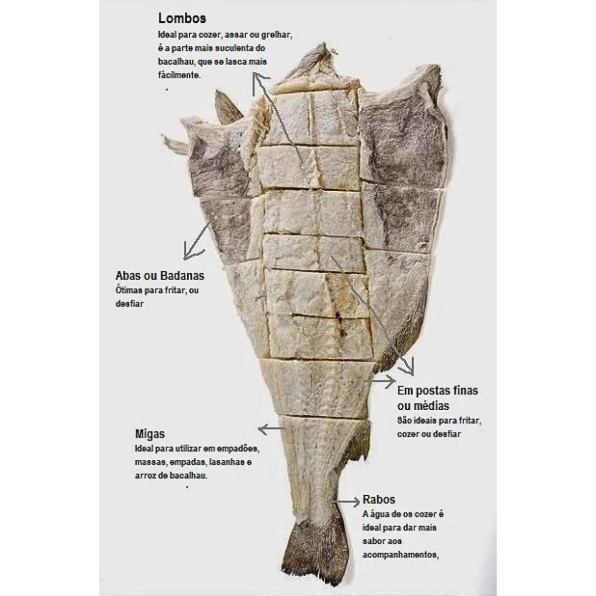 Bacalhau Inteiro Gadus Mohua Extra  Calibre 6/8 – (Peso medio 7kg)